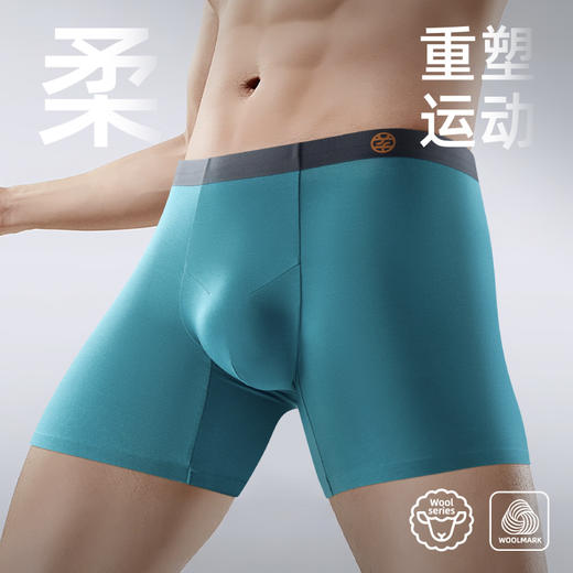 冬季限定 · 15.5 微米美利奴羊毛内裤 商品图2