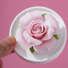 【非遗陶瓷手捏花传承】2026 Rugosa玫香雅宴--渐变套组 商品缩略图7