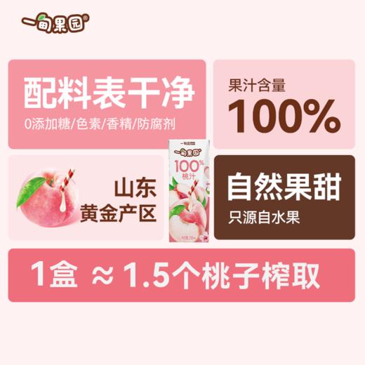品牌直发 一甸园 一甸果园100%桃汁 200mLx10盒/箱 1箱装/2箱装 商品图6