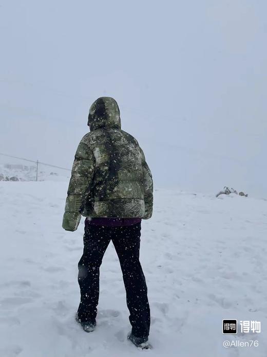 D121169城市户外机能轻量高蓬松防水防风冬季保暖情侣P棉棉服 商品图10