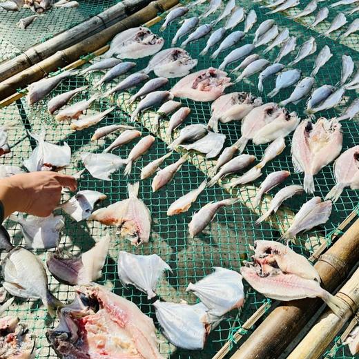 【2025最新一风,限量送梅干菜】舟山独有时令美食 沙鳗鲞/风带鱼/小黄鱼鲞 商品图4