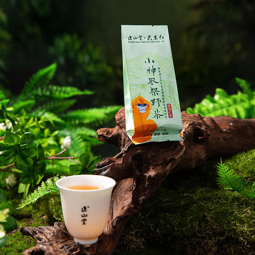正山堂巴东红 小神农架野茶 特级红茶正宗湖北巴东茶叶品鉴装10g 商品图7
