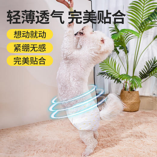 宠物纸尿裤超厚强吸水隔尿垫尿片狗狗加厚除臭尿不湿一次性隔尿垫 商品图2