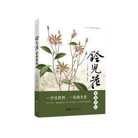 铃儿花岭南印记