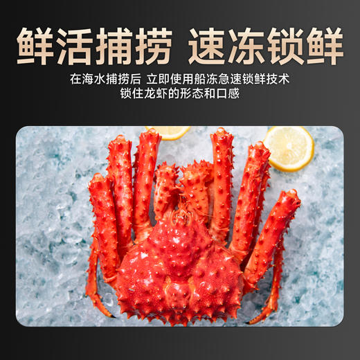 海朴熟冻整只帝王蟹多规格可选节日送礼家庭聚餐 商品图3