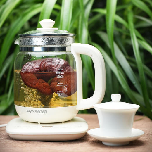 【兴合吉供】高山寒地有机赤灵芝【250g/根】 商品图2