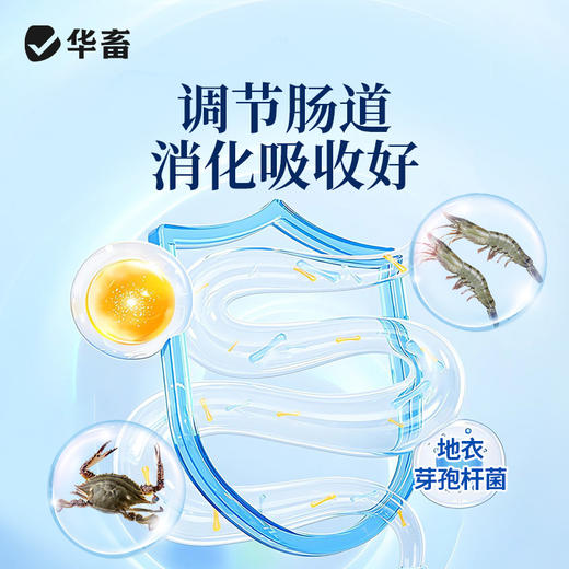 华畜 偷死停 调节肠胃 免疫力强 养殖常备 商品图3