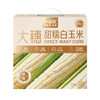 【好麦多】小谷队大穗甜糯白玉米2.08kg(礼盒） 商品缩略图0