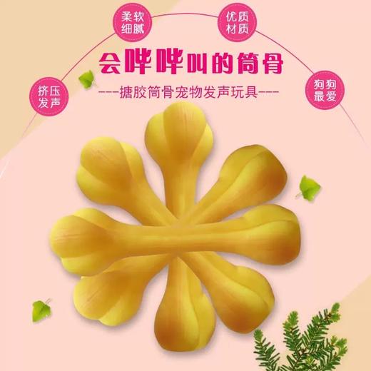 宠物玩具狗狗耐咬幼犬小狗磨牙惨叫尖叫鸡发声泰迪球用品金毛骨头 商品图0