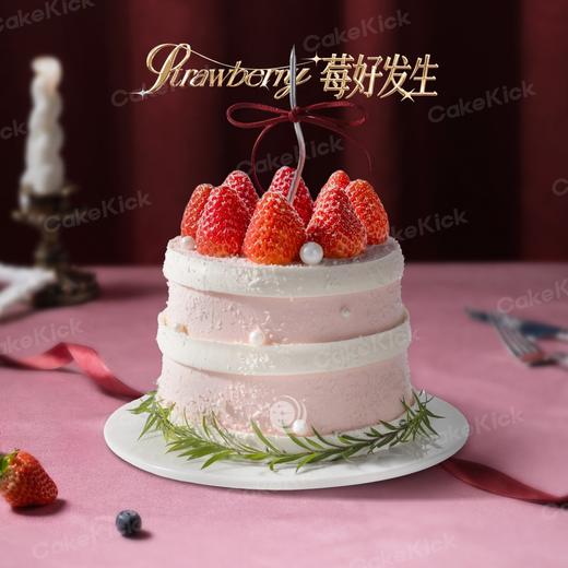 4英寸草莓季动物奶油分享蛋糕6选1 商品图3