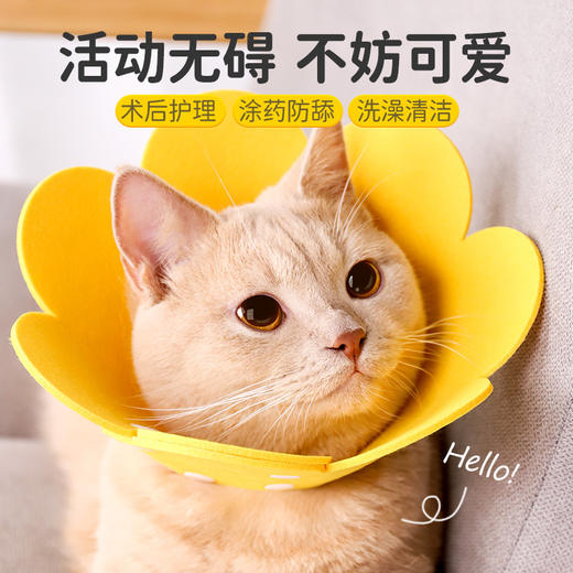 伊丽莎白圈猫绝育项圈猫咪头套防咬围脖伊利莎白圈狗脖圈宠物用品 商品图0