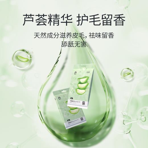 宠物免洗手套猫咪干洗狗狗清洁手套湿巾洗澡清洗按摩宠物清洁用品 商品图2