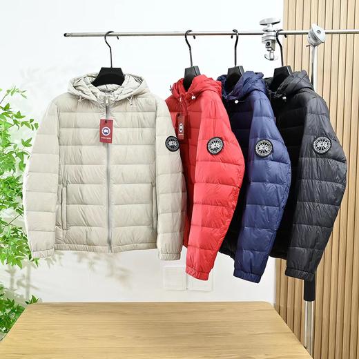D121159冬季新款商务休闲轻薄连帽羽绒服男女同款 商品图0