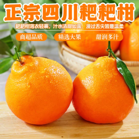 【正宗四川春见耙耙柑】产地直发 味甜多汁 果香浓郁