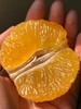 【293项农残O检出】【爱媛果冻橙】 细腻无渣 可以“吸”着吃的果冻橙 商品缩略图3