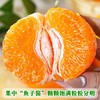 【正宗四川春见耙耙柑】产地直发 味甜多汁 果香浓郁 商品缩略图2
