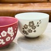 【出口餐具尾单-福利专场】spring day日系梅花碗杯系列【CJ10】 商品缩略图5
