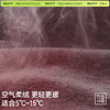 「棉的美学」秋冬季圆领加绒内搭修身2025新款长袖T恤打底衫上衣女 商品缩略图1
