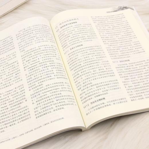 E中外园林史（20世纪以前）&3343 专业核心教材 中国 / 西亚 / 欧洲三大体系全覆盖 含园林起源发展、类型实例、艺术成就 16章系统梳理古埃及古希腊等园林演变 本科教学 + 教师研究生参考用书 商品图5