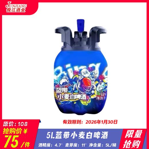 *限量抢购*蓝带小麦白啤酒 5L/桶 酒精度：4.7°   麦芽度：12° 商品图0