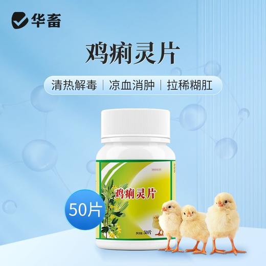 华畜国标兽用鸡痢灵片禽类通用清热解毒拉稀腹泻肠炎痢疾凉血消肿 商品图1