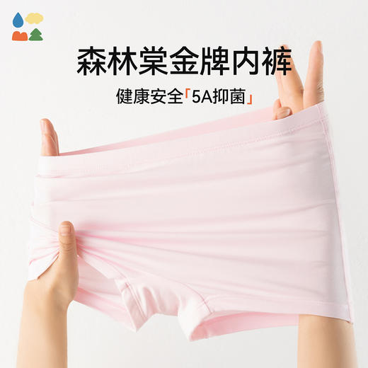 【儿童内裤】森林棠新款男童女童吸湿透气5A抑菌莫代尔内裤三条装43762021 商品图2
