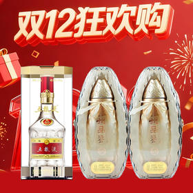 【12.12】五粮液 普五第八代 浓香型 52度 500ml +泸州 品鉴酒 G9 浓香型 52度 500ml x2