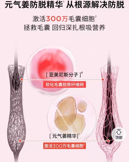 保 K诗元气姜精华滴液生发精油 商品图7