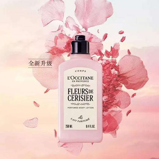 L'occitane/欧舒丹樱花沐浴露250ml身体乳250ml A-4961-1（有效期28-4） 商品图8
