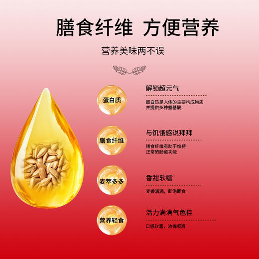 【金味】每日营养麦片21包装608g-XJ 商品图2