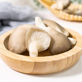 沈佳农有机小平菇 有机种植新鲜采摘蔬菜150g/盒【顺丰包邮】
