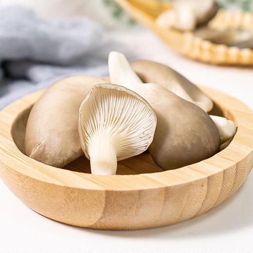 沈佳农有机小平菇 有机种植新鲜采摘蔬菜150g/盒【顺丰包邮】 商品图0