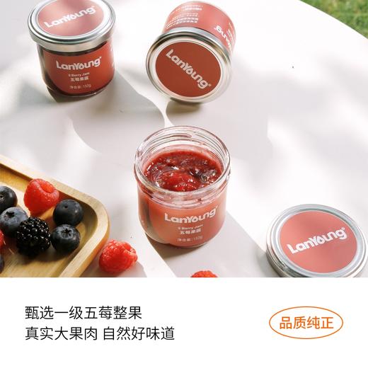 lan young 五莓果酱  蓝莓果酱 150g/瓶 商品图5