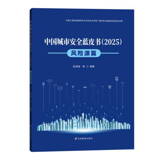 中国城市安全蓝皮书：风险源篇 商品图0