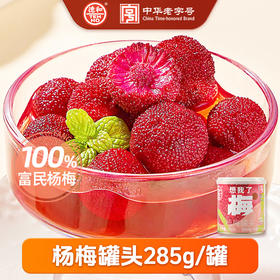 德和 杨梅罐头285g/罐  水果罐头 #润