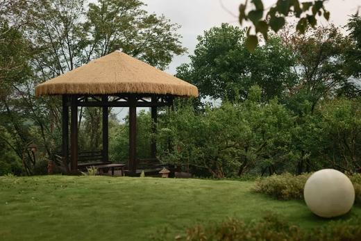 【峨眉山七里坪·597号院】5房温泉私汤/泳池小院，高端宴请，奢华别墅，避暑玩水，冬季赏雪zzqa 商品图8