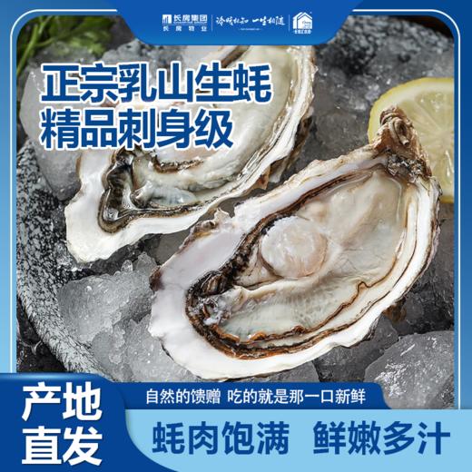 【山东乳山生蚝】产地新鲜直发 蚝肉饱满 鲜嫩多汁 京东/顺丰发货 商品图0
