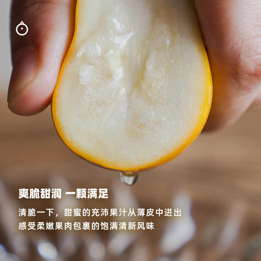 企鹅市集|广西融安脆蜜金柑 金桔礼盒装 多规格多款式可选 甜蜜不涩 薄皮少籽 商品图5