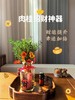 【肉桂生财香薰摆件礼盒】🔥肉桂香气环绕，财运自然来，搭配上千层金、松果、开心果、桂花，🈵满瓶美好❗️-HF 商品缩略图3