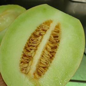 【嘎嘎好吃的佛罗蜜瓜】 黄皮 绿瓤 嘎嘎脆甜 爱吃脆甜瓜的强烈推荐[色]刚到的新货