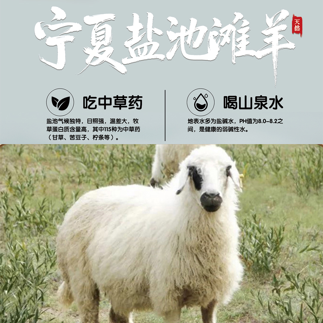 宁夏盐池滩羊肉，风味鲜美、口感爽滑，“羊肉圣品”
