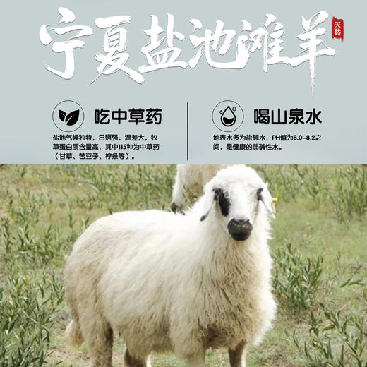 宁夏盐池滩羊肉，风味鲜美、口感爽滑，“羊肉圣品” 商品图0