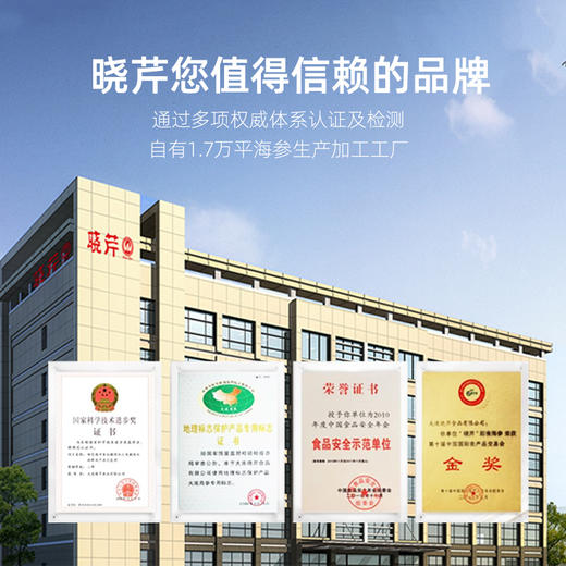 [晓芹]12小时干海参(31-40头 100g装) 送泡发杯1个 商品图5