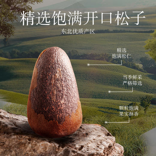 三只松鼠 罐装坚果_原香松子250g 商品图5