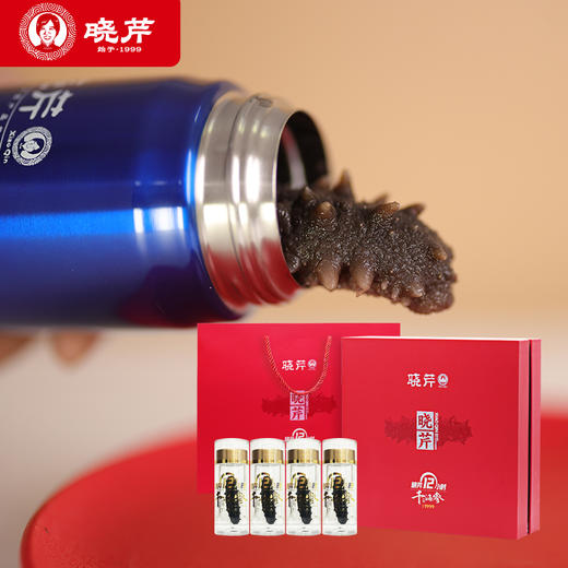 [晓芹]12小时干海参( 20根/50g)送泡发杯1个 商品图2