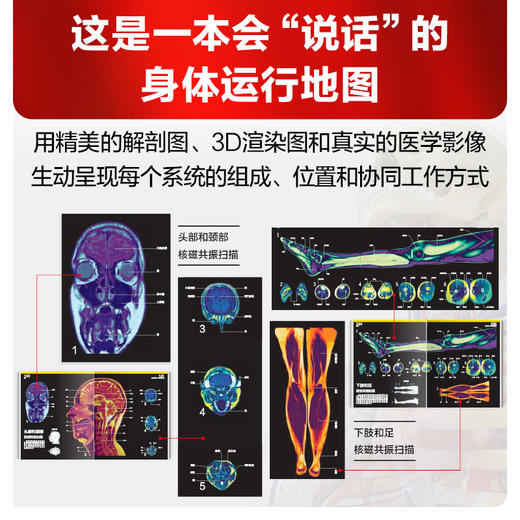 DK人体大百科（修订版） 商品图3