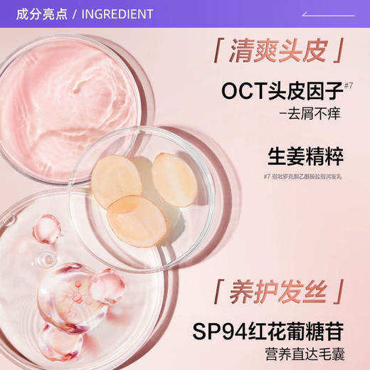 欧莱雅生姜洗发水护发素洗护套装强韧发根控油无硅油洗头水洗发露（有效期至2026年12月） 商品图4