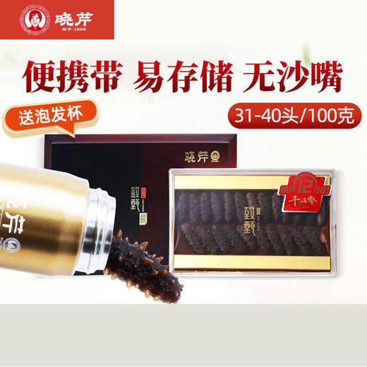 [晓芹]12小时干海参(31-40头 100g装) 送泡发杯1个 商品图1