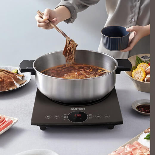 苏泊尔（SUPOR）电磁炉C22-IH912D 商品图1
