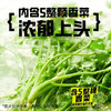 白象超香香香香香香菜面115g*12桶 商品缩略图3